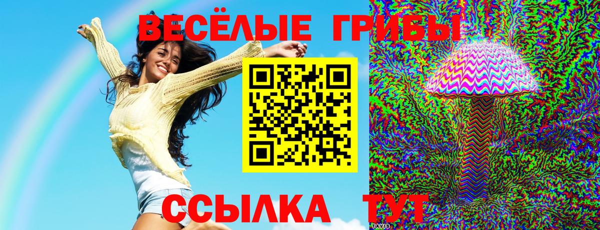 Галлюциногенные грибы мицелий  Вход с VPN  Черногорск 